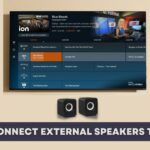 How to Connect External Speakers to Vizio TV? | 7 Methods